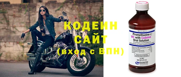шишки Ладушкин