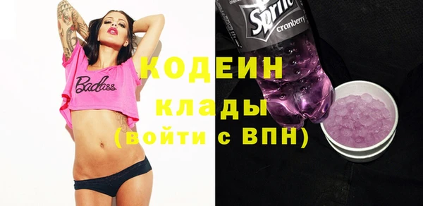 шишки Ладушкин