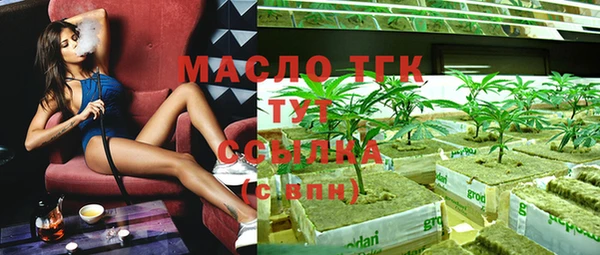 Альфа ПВП Лагань