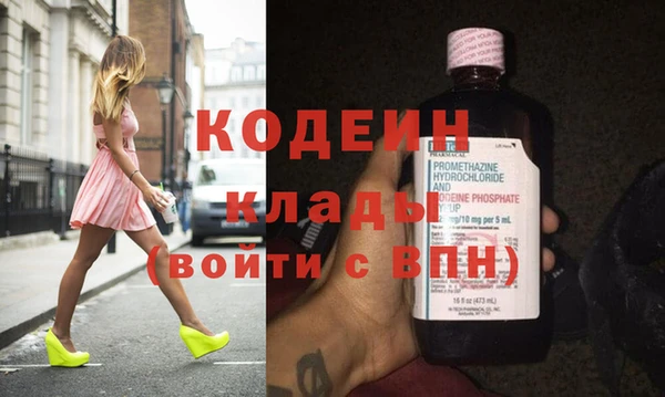 шишки Ладушкин