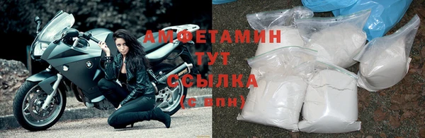 Альфа ПВП Лагань