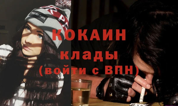 шишки Ладушкин