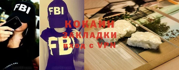 шишки Ладушкин